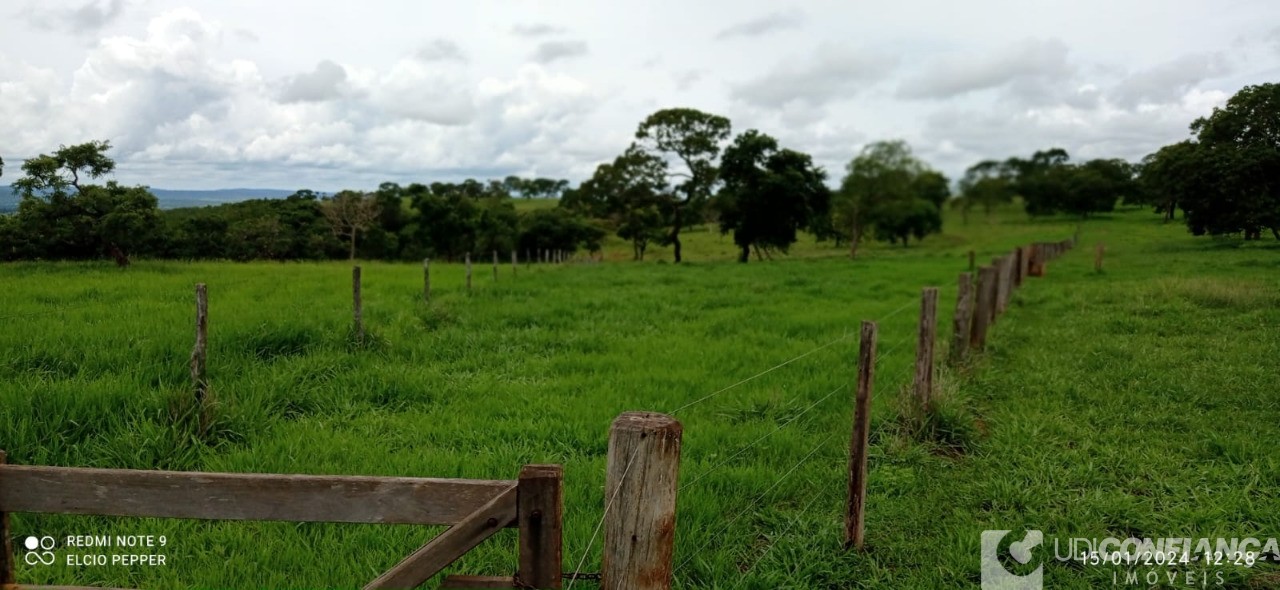 Fazenda à venda - Foto 22