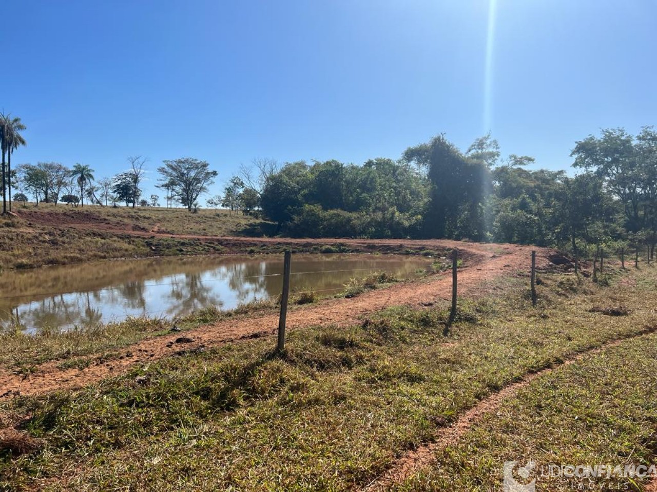 Fazenda à venda - Foto 4