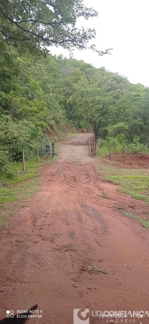 Fazenda à venda - Foto 9