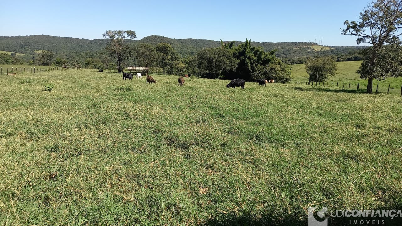 Fazenda à venda - Foto 17