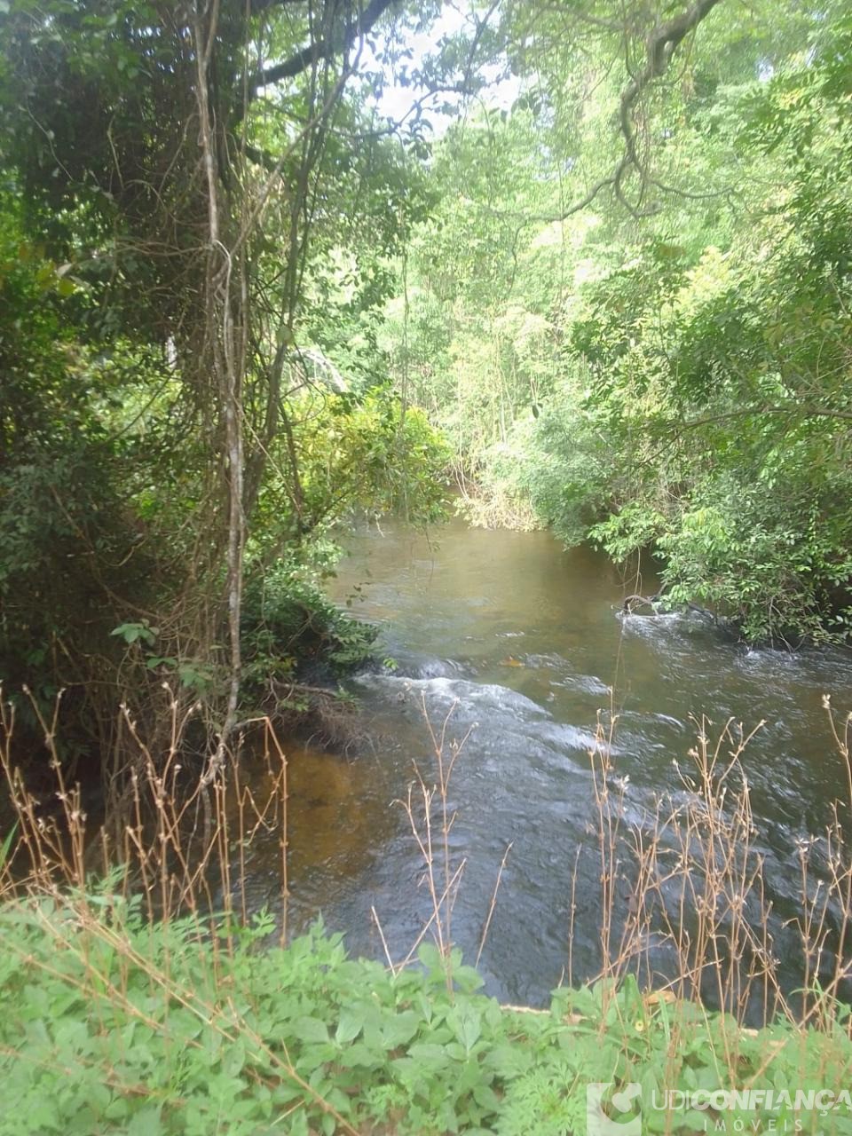 Fazenda à venda - Foto 1