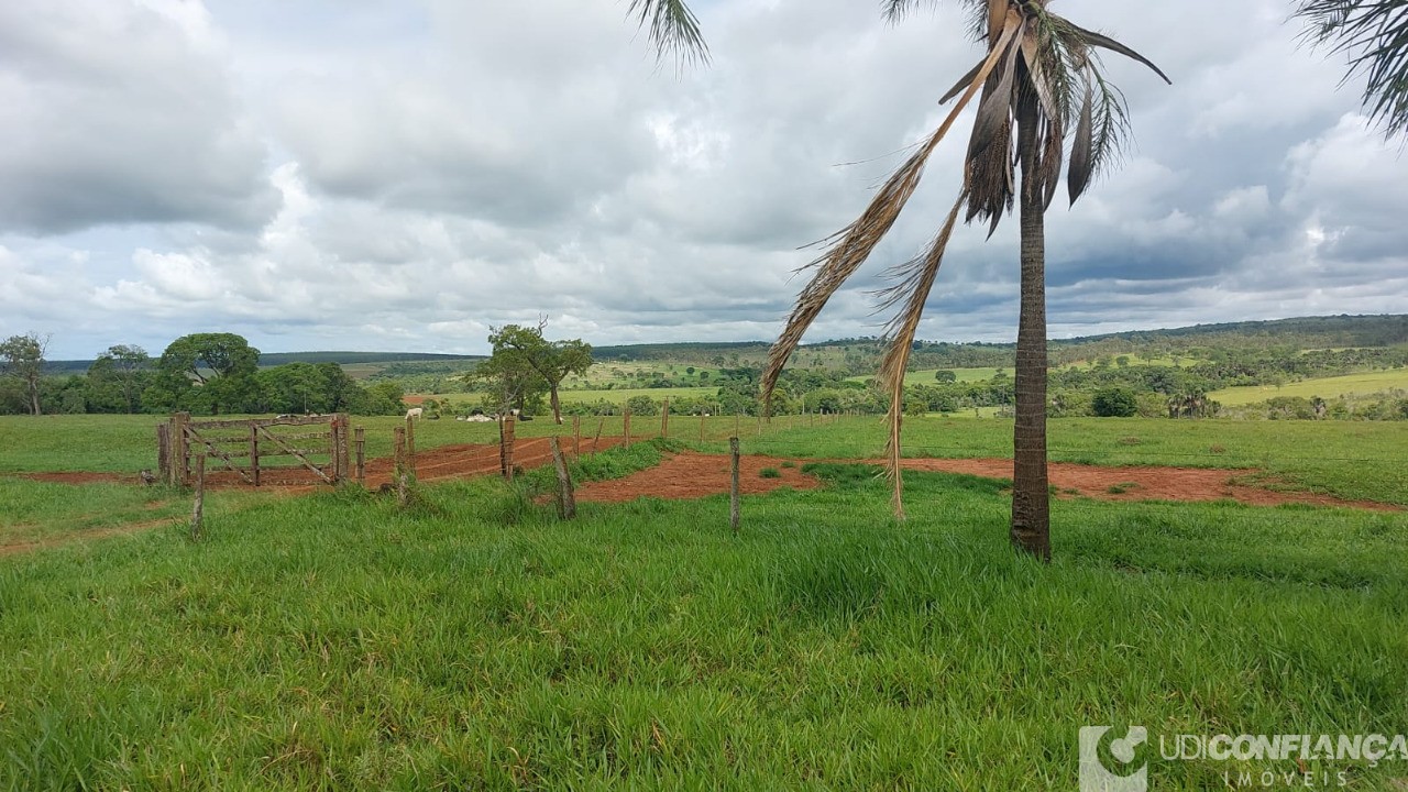 Fazenda à venda - Foto 11