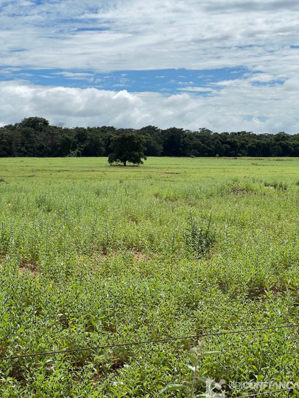 Fazenda à venda - Foto 2