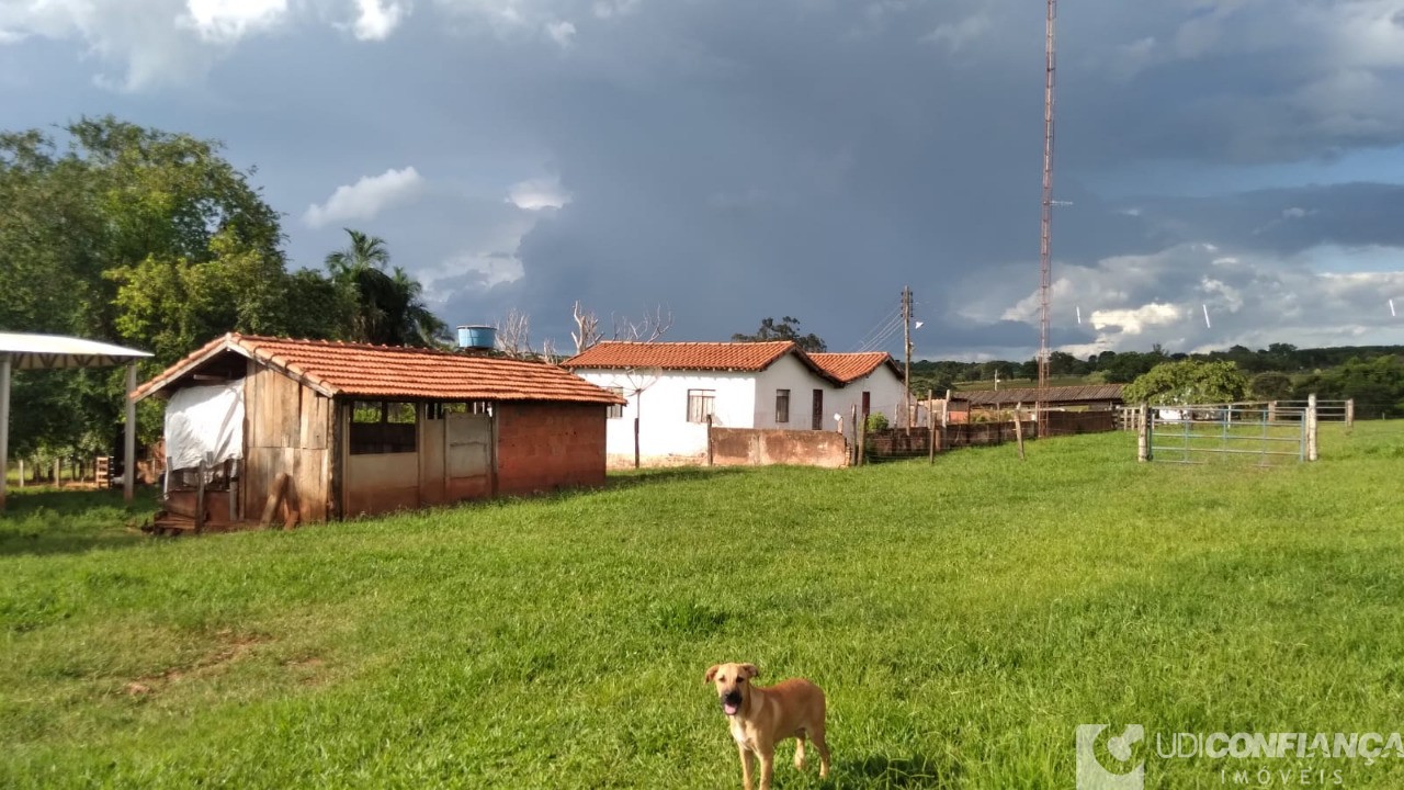 Fazenda à venda - Foto 31