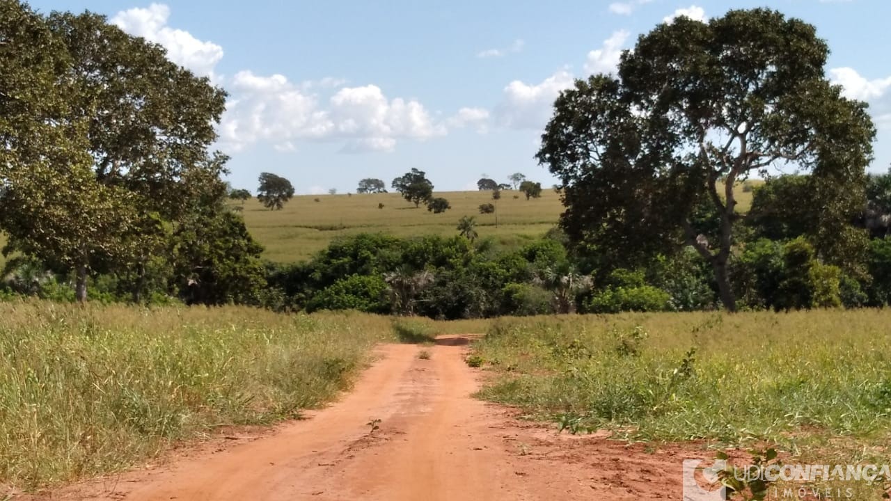 Fazenda à venda - Foto 3