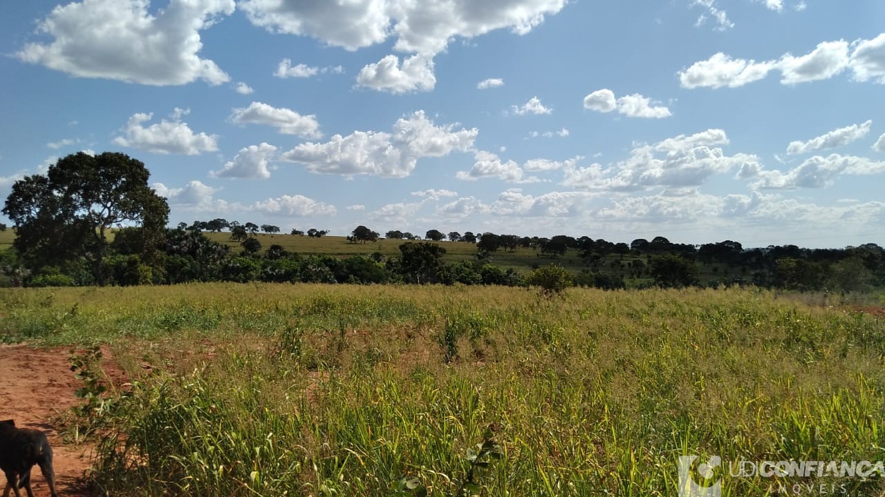 Fazenda à venda - Foto 2