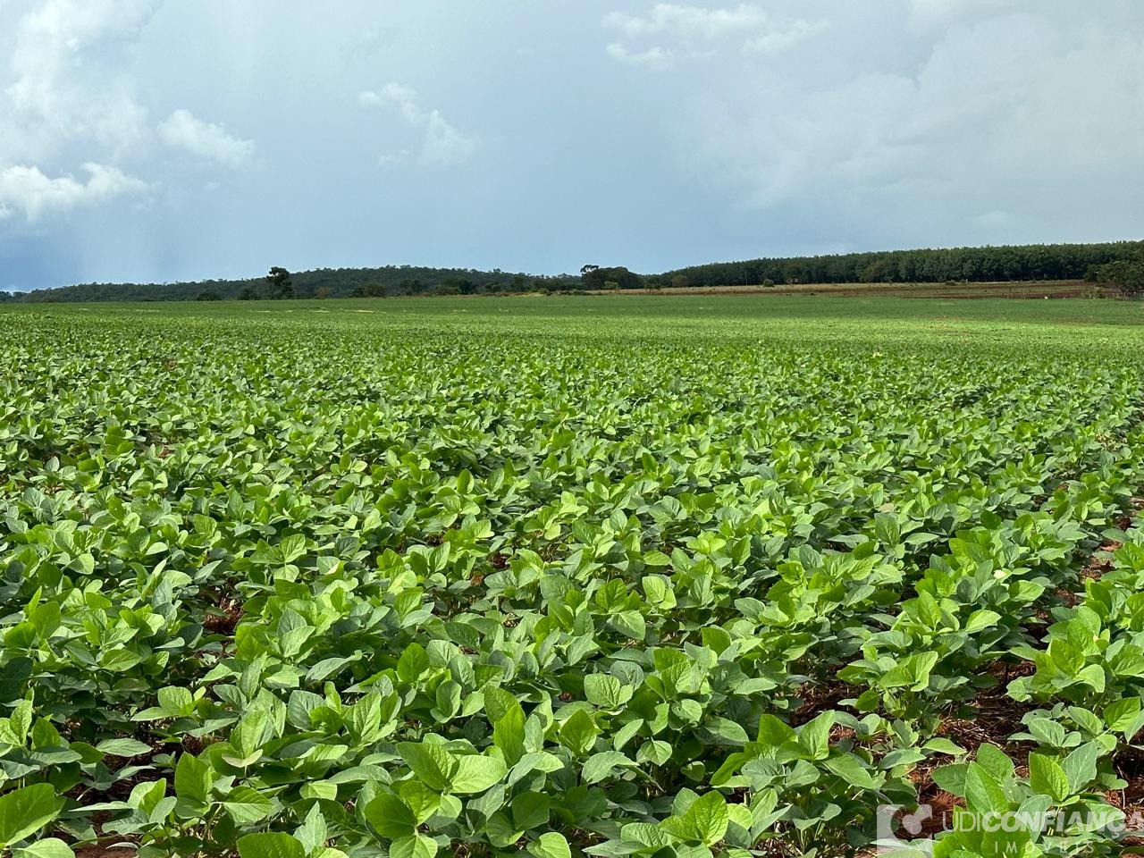 Fazenda à venda, 67m² - Foto 6