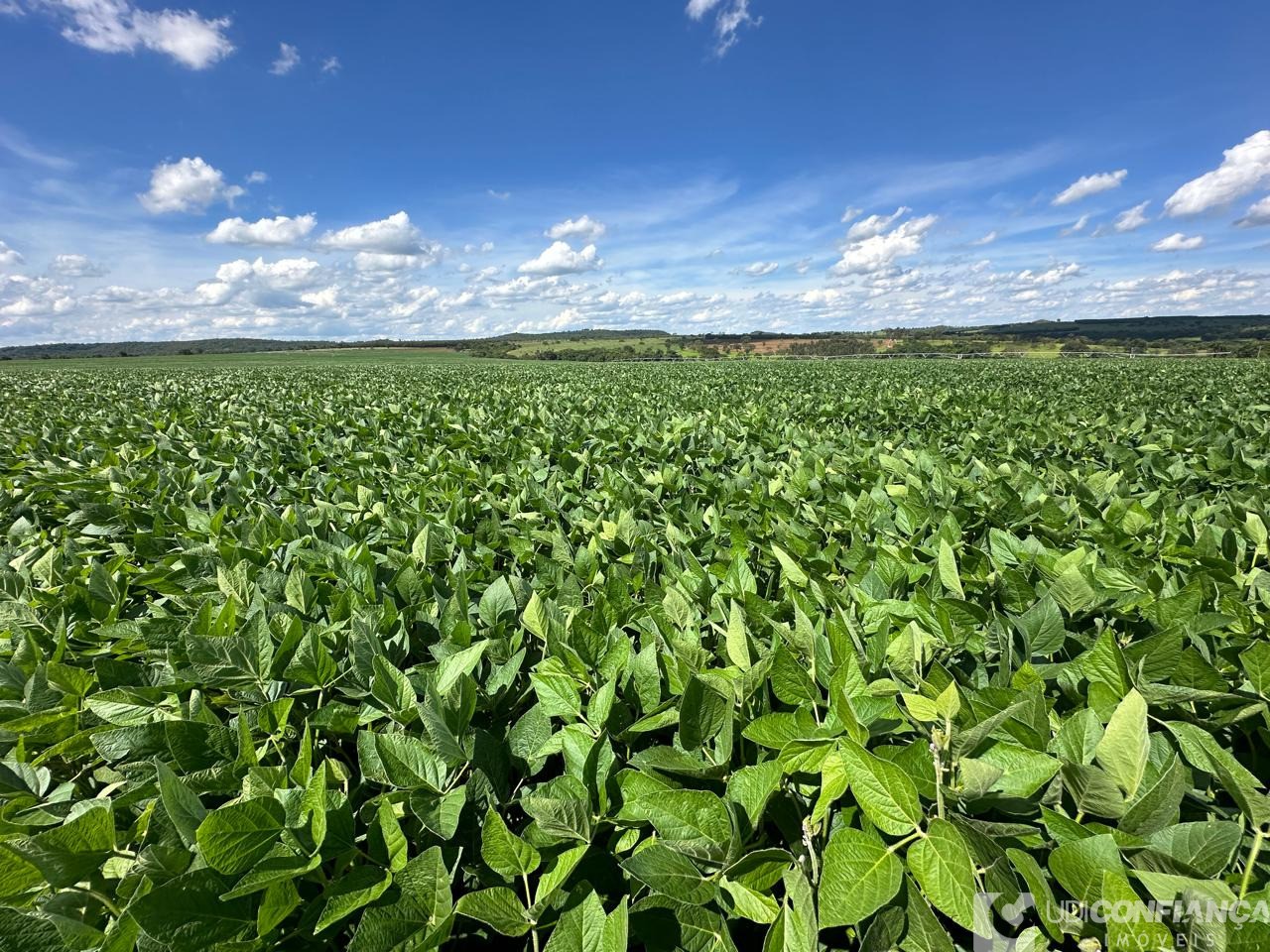 Fazenda à venda, 67m² - Foto 2