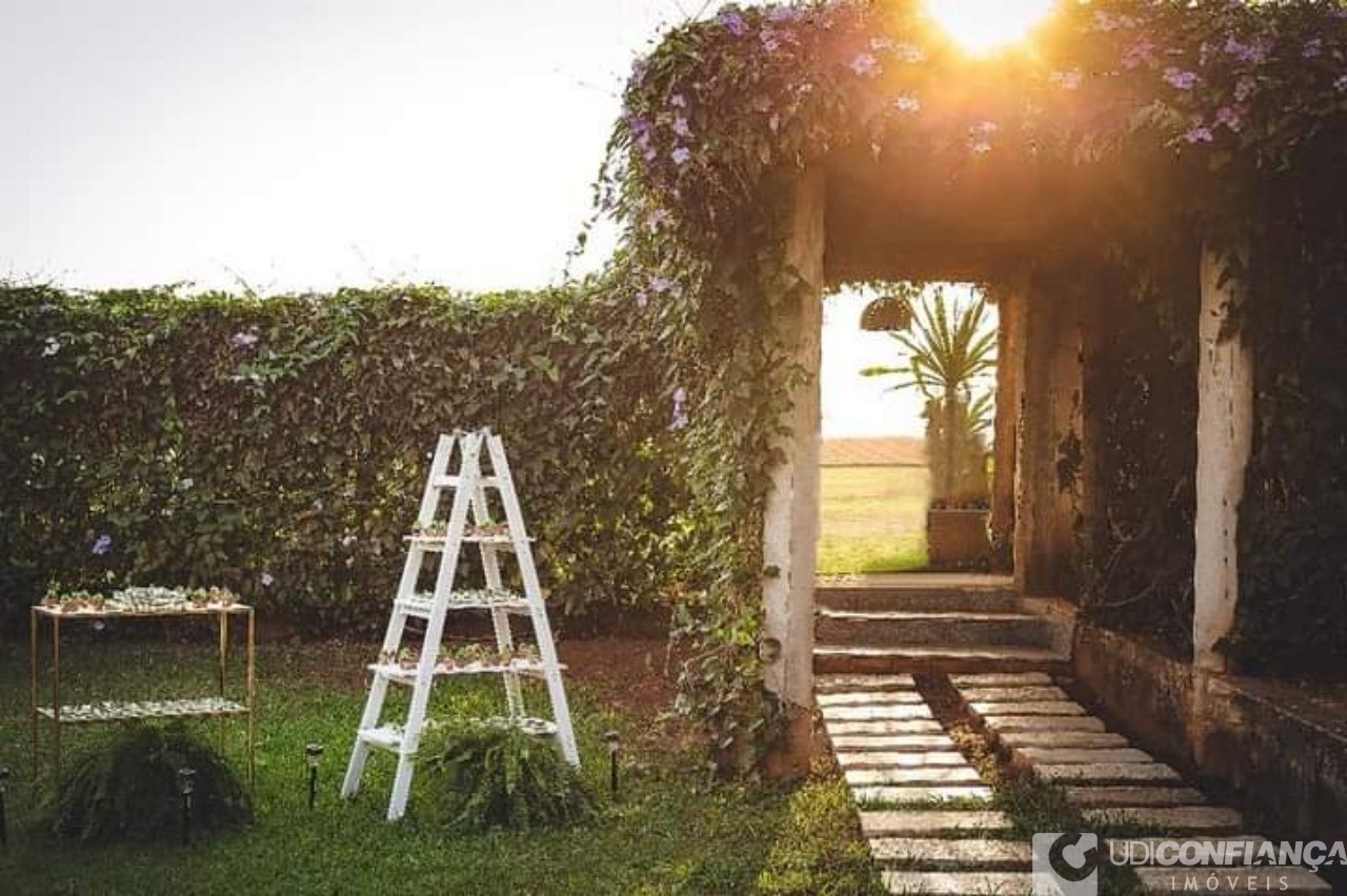 Fazenda à venda, 1000m² - Foto 43