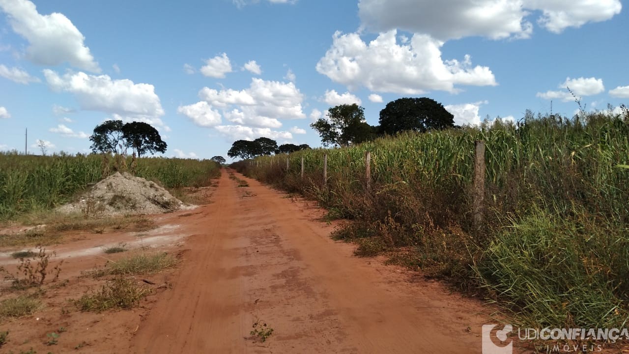 Fazenda à venda - Foto 9