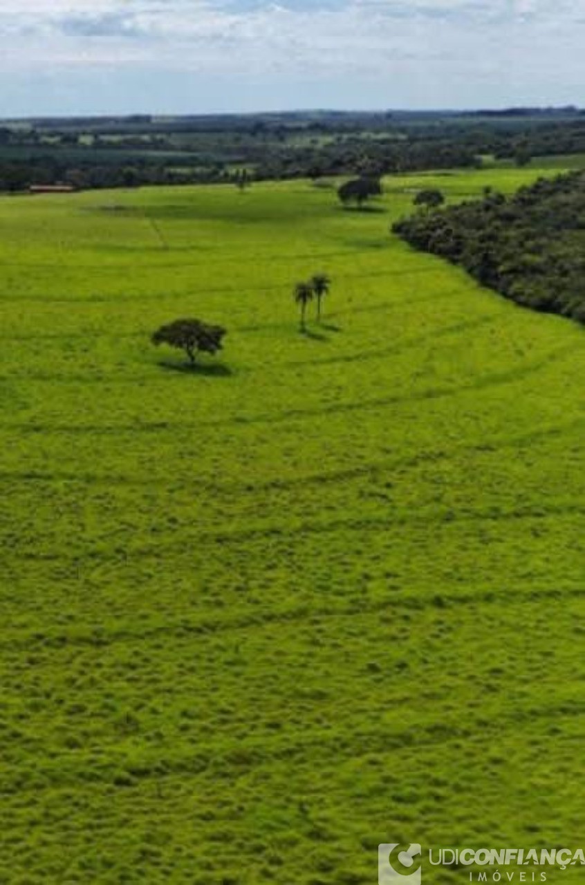 Fazenda à venda, 18m² - Foto 3