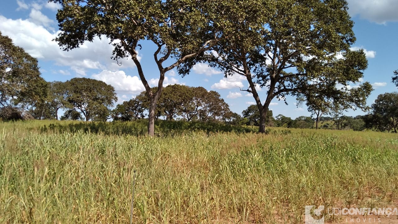 Fazenda à venda - Foto 4