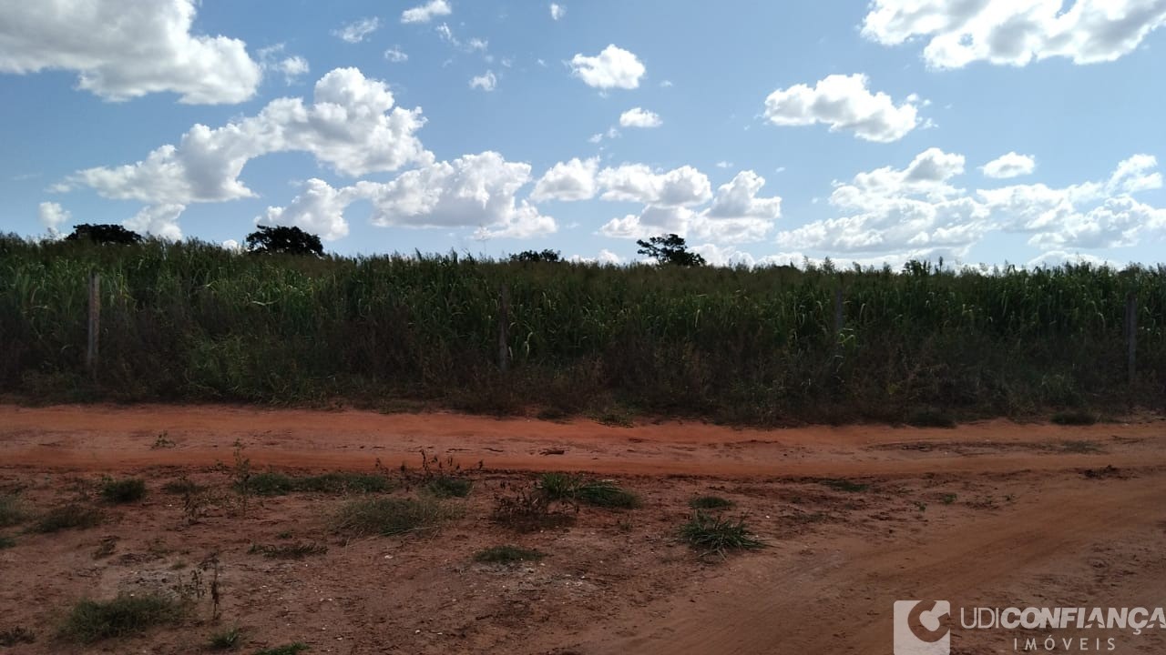 Fazenda à venda - Foto 6