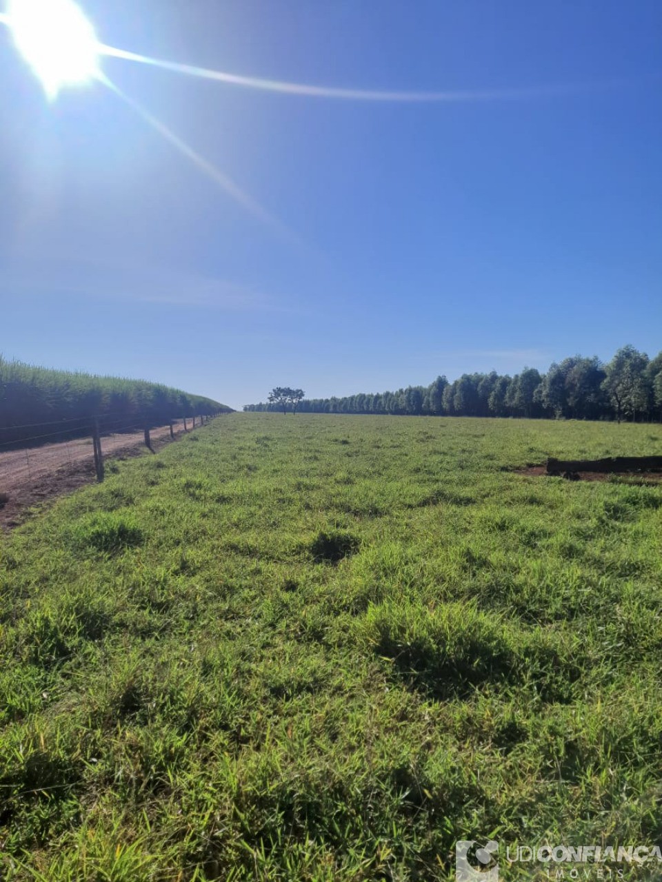 Fazenda à venda, 15m² - Foto 10