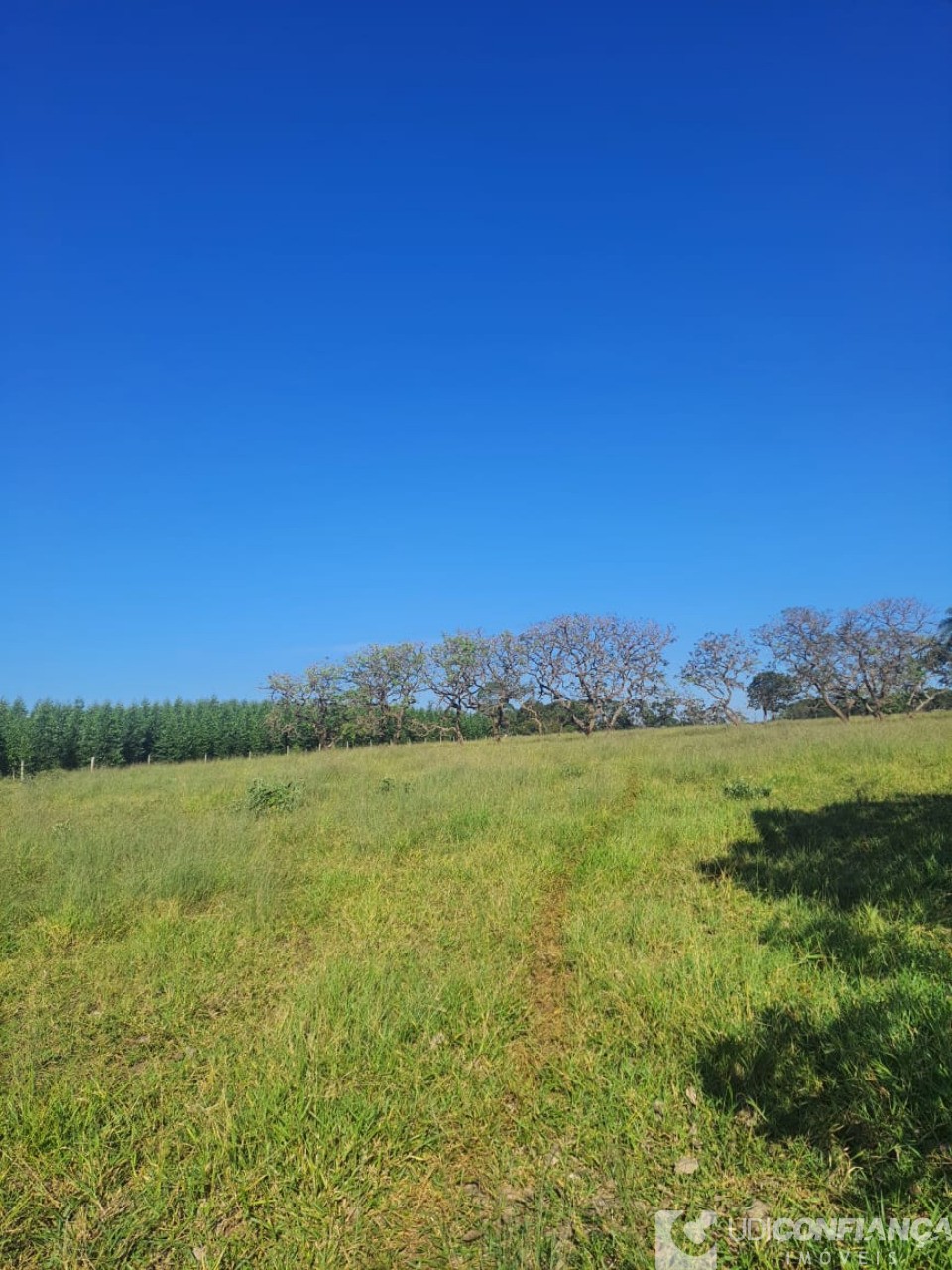 Fazenda à venda, 15m² - Foto 9