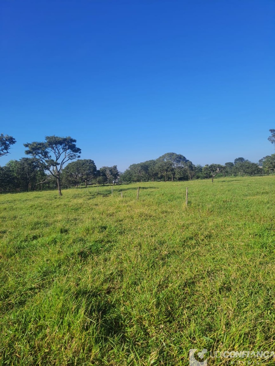 Fazenda à venda, 15m² - Foto 11