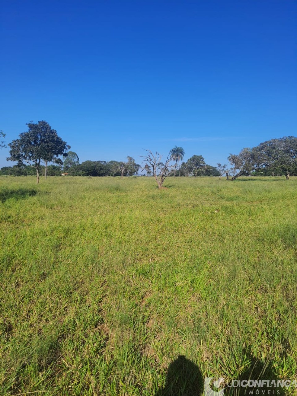 Fazenda à venda, 15m² - Foto 12