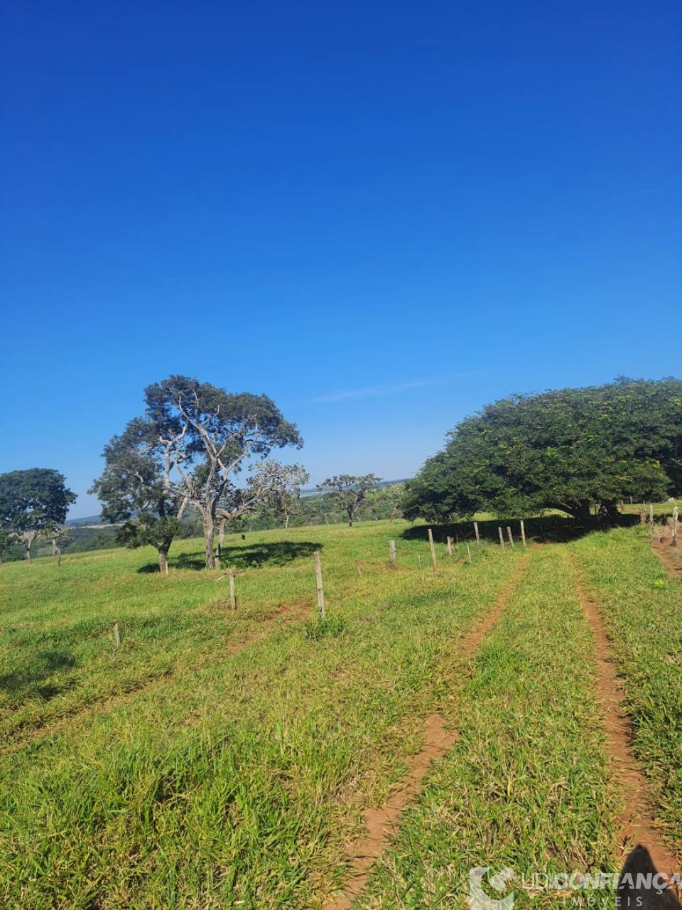 Fazenda à venda, 15m² - Foto 8