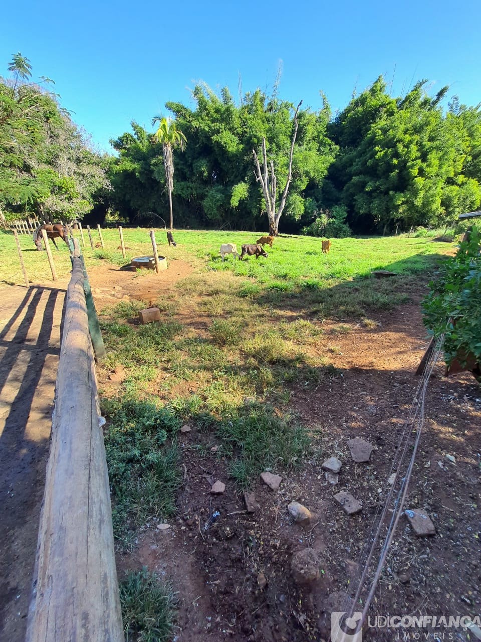 Fazenda à venda, 15m² - Foto 4