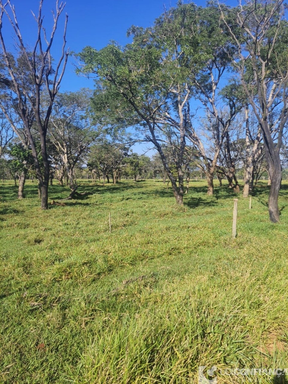 Fazenda à venda, 15m² - Foto 6