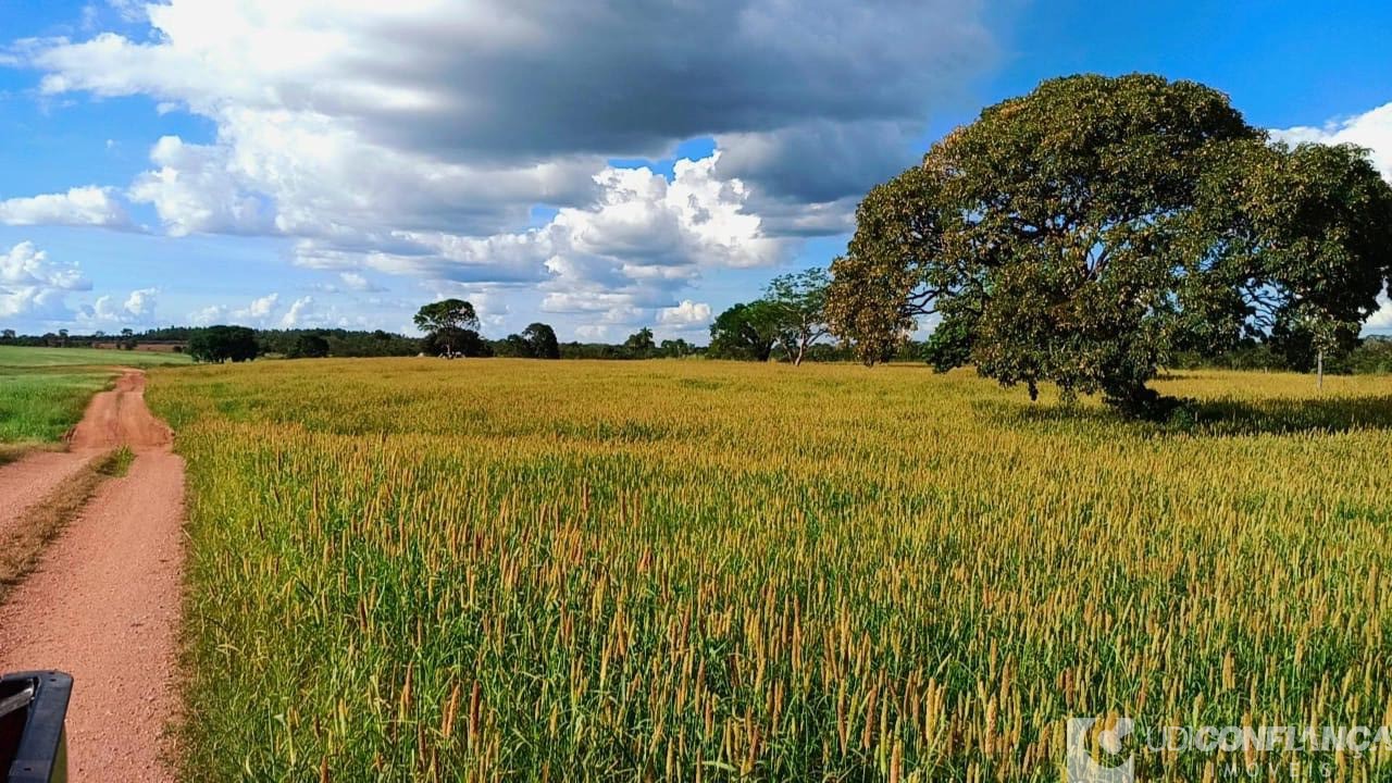 Fazenda à venda - Foto 9