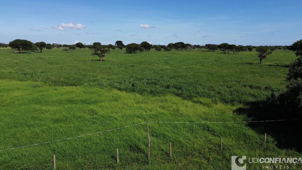 Fazenda à venda - Foto 5