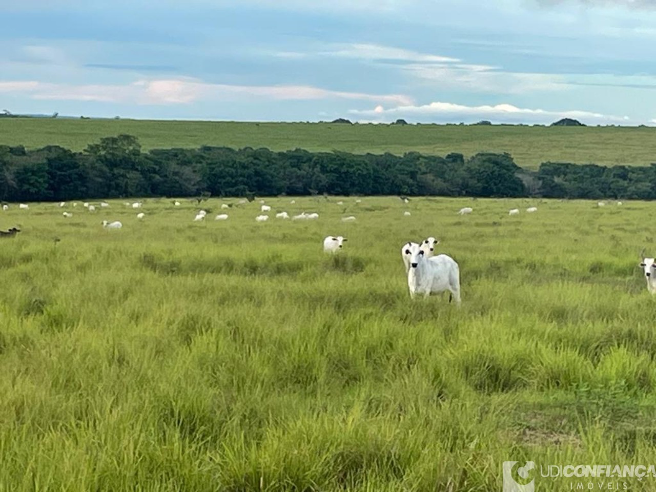 Fazenda à venda - Foto 1