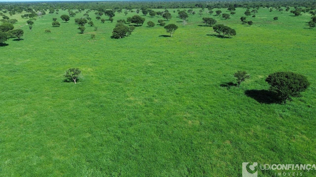 Fazenda à venda - Foto 6