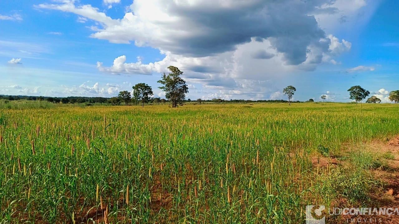 Fazenda à venda - Foto 6