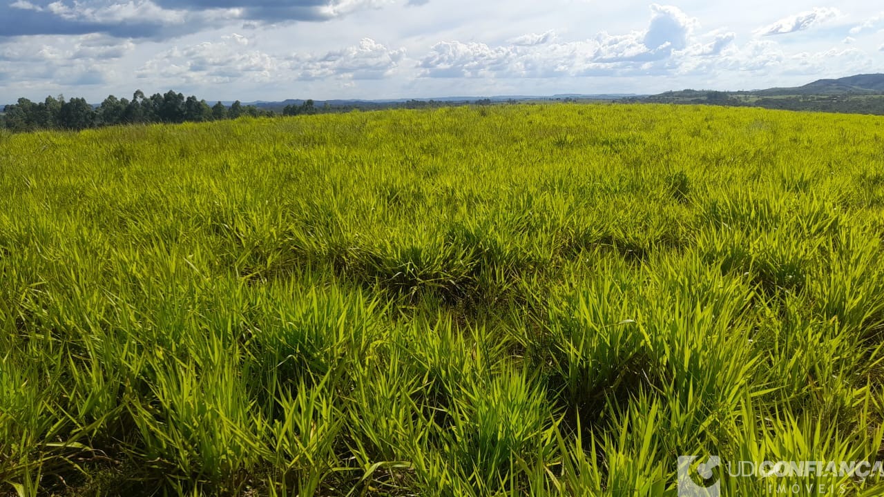 Fazenda à venda - Foto 1