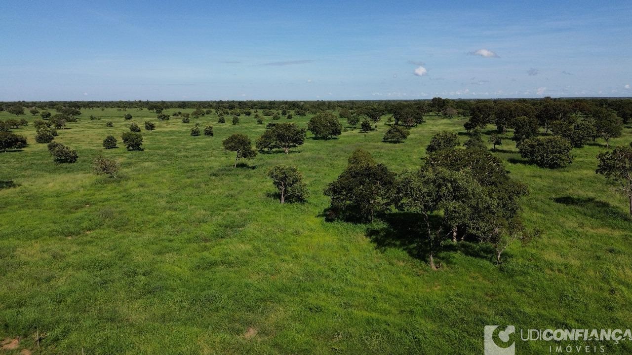 Fazenda à venda - Foto 2