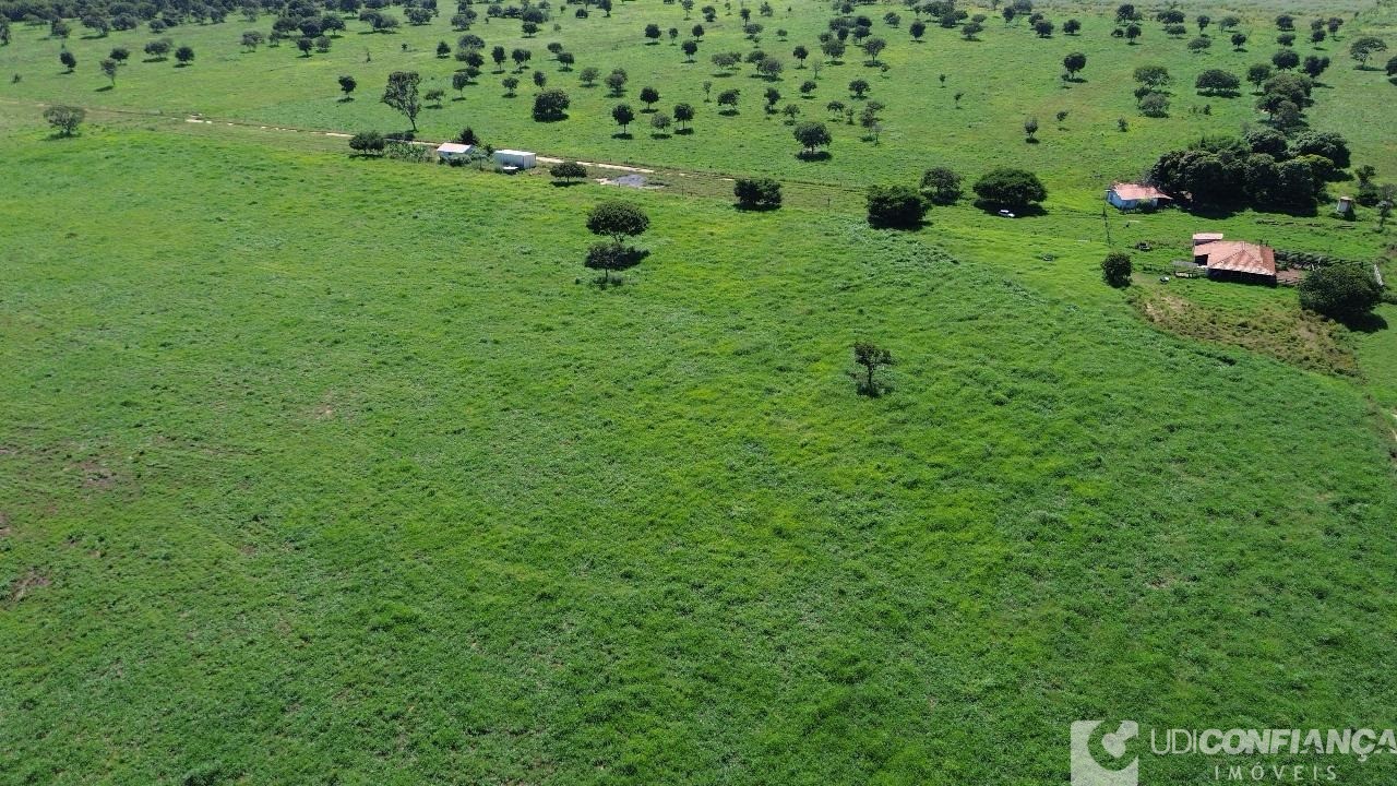 Fazenda à venda - Foto 3