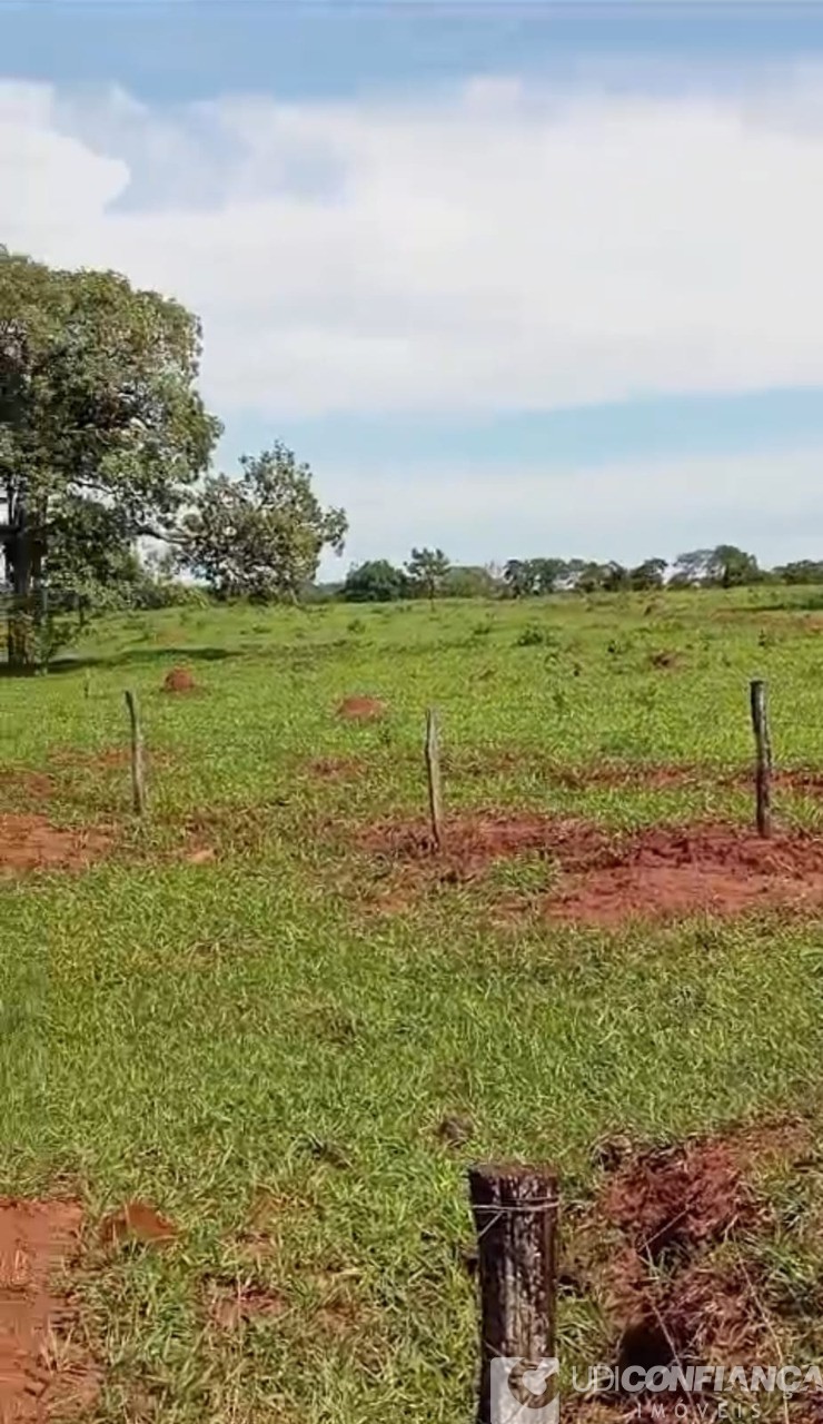 Fazenda à venda - Foto 6