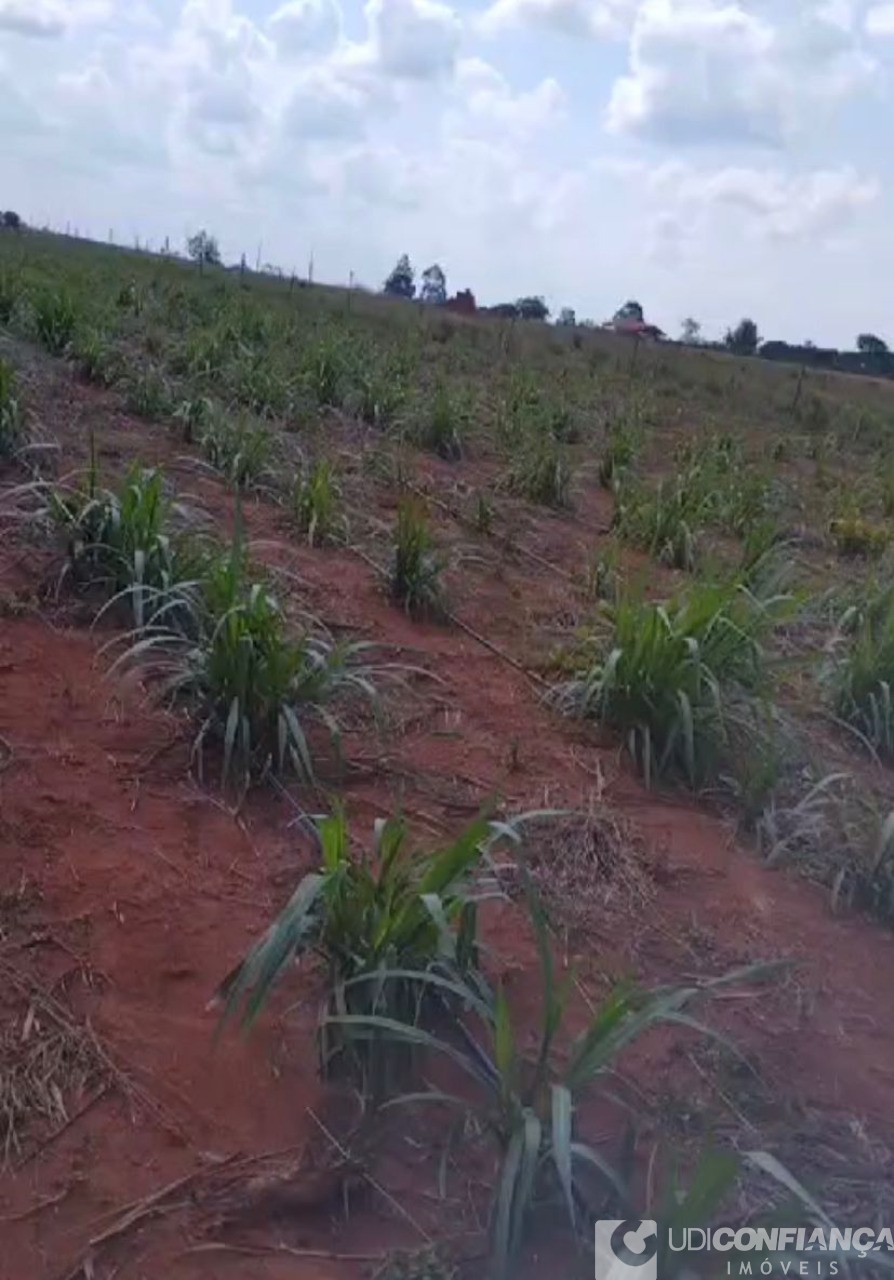 Fazenda à venda - Foto 6