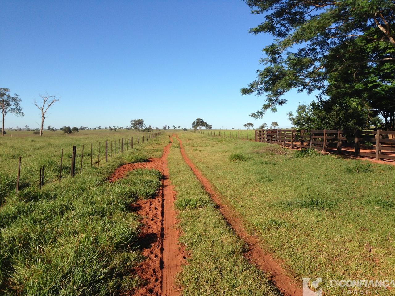 Fazenda à venda - Foto 12