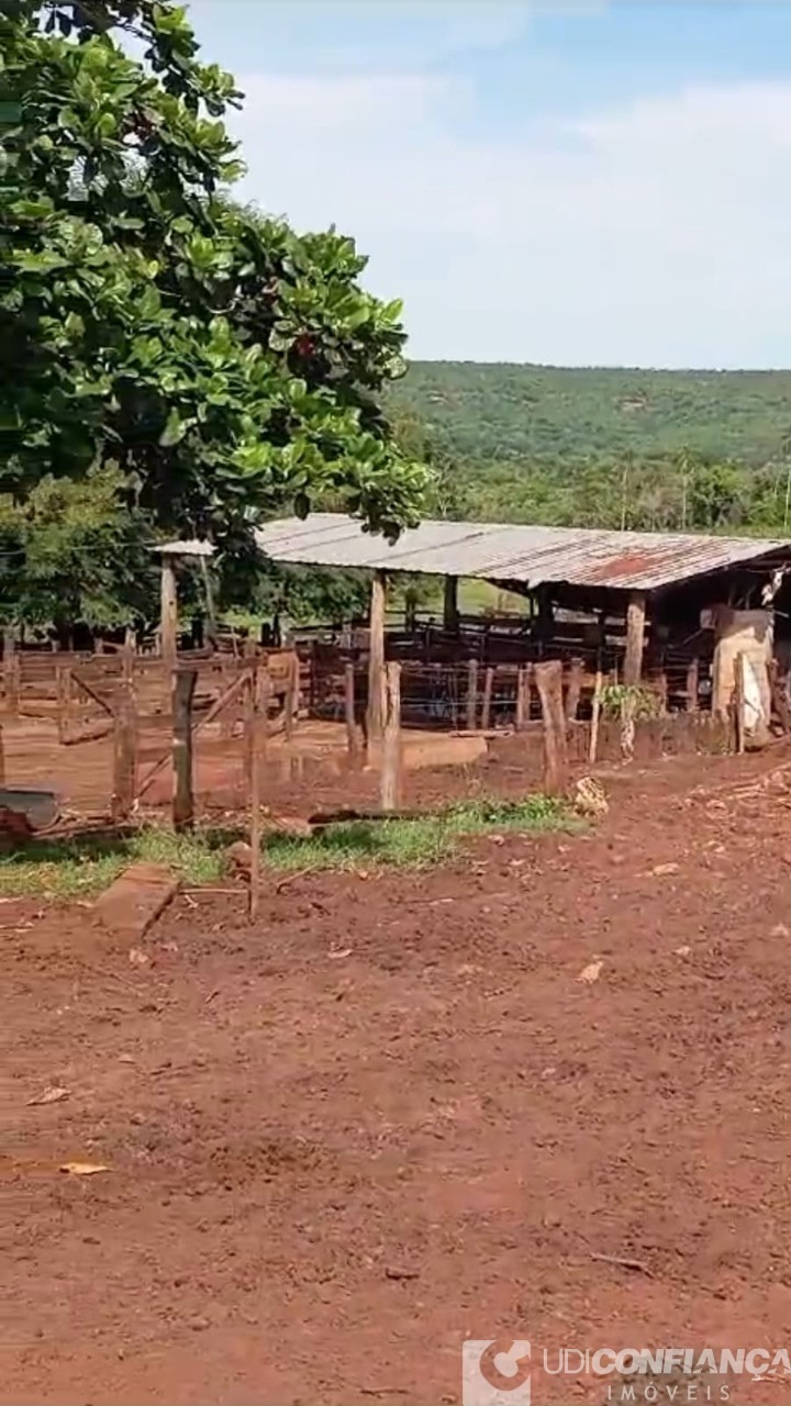 Fazenda à venda - Foto 4