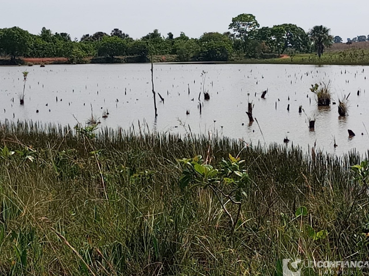 Fazenda à venda - Foto 17