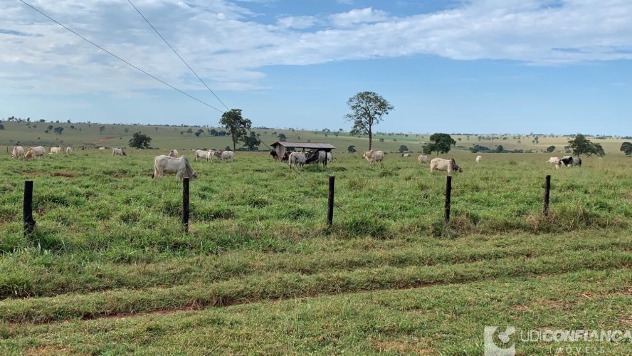 Fazenda à venda - Foto 6