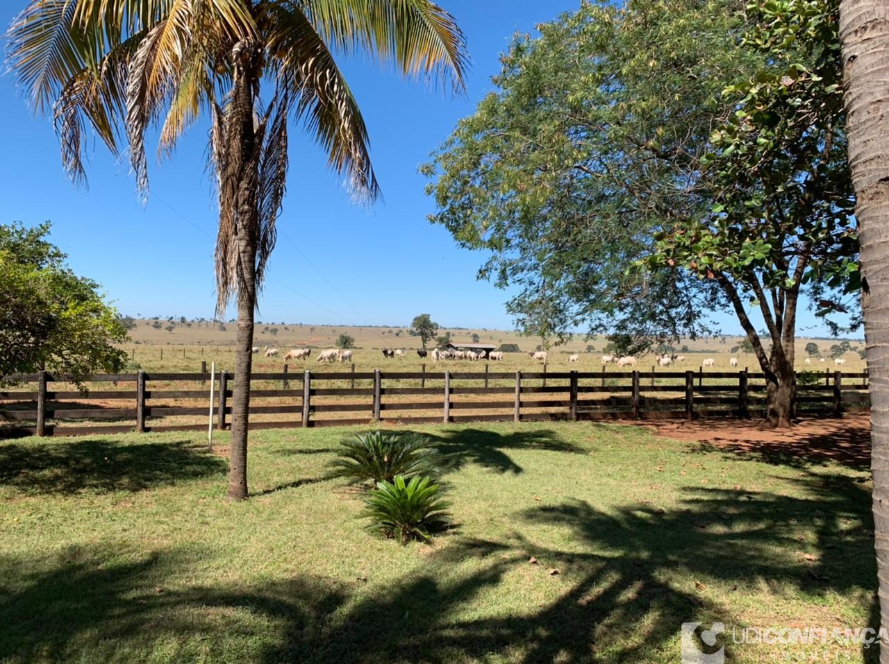 Fazenda à venda - Foto 9