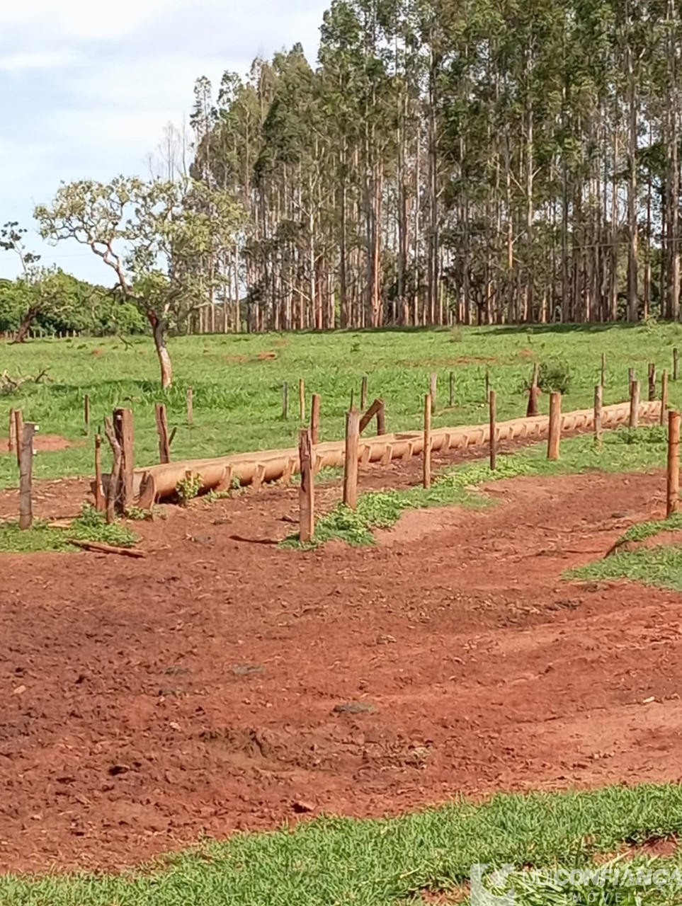 Fazenda à venda - Foto 3