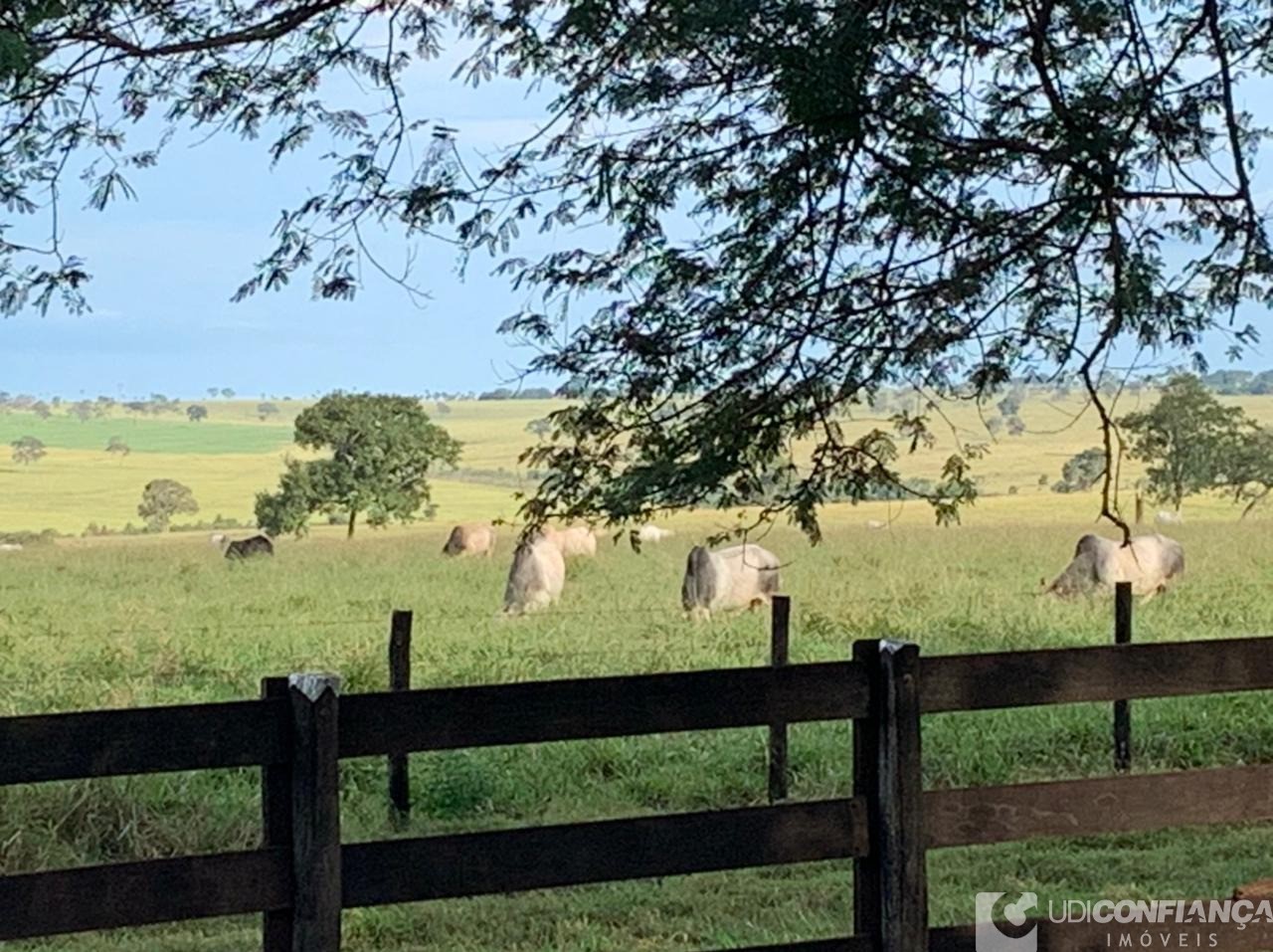 Fazenda à venda - Foto 13