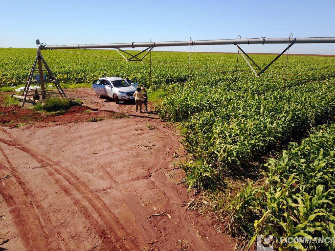 Fazenda à venda - Foto 4