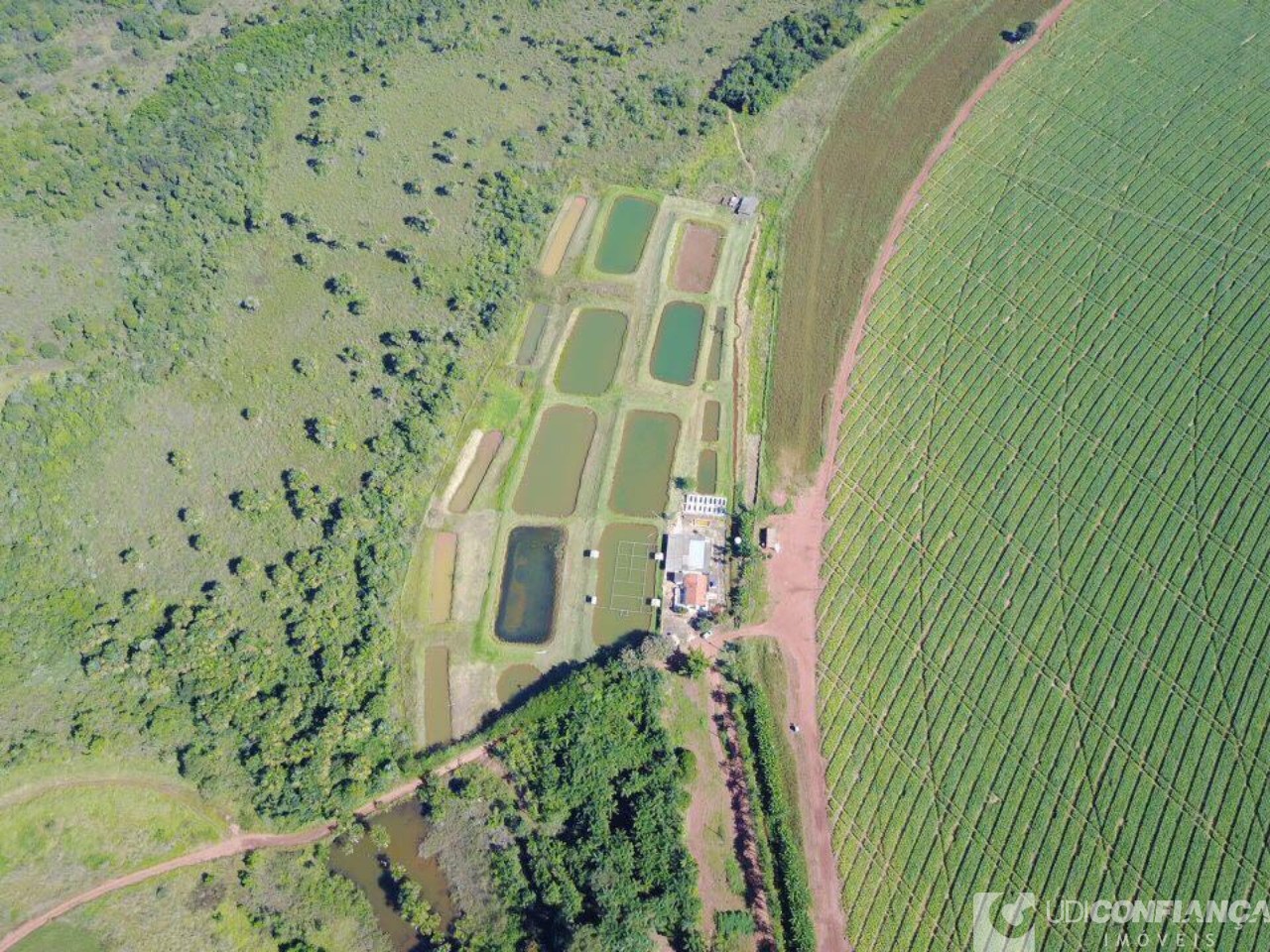 Fazenda à venda - Foto 5