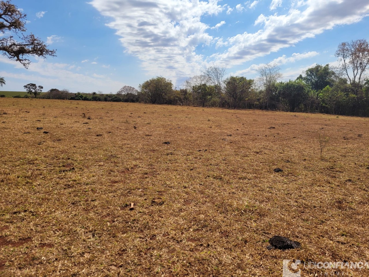 Fazenda à venda - Foto 5