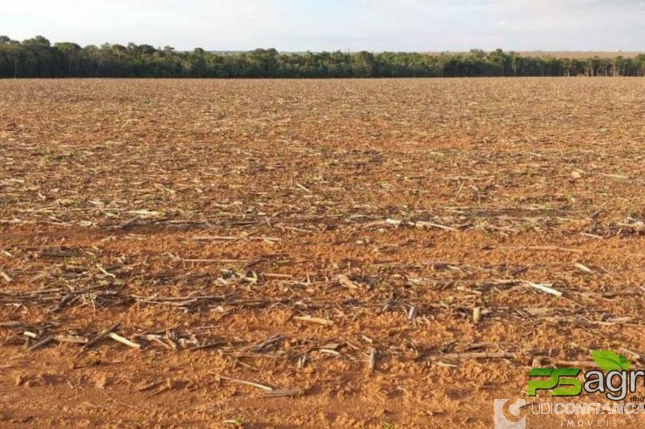 Fazenda à venda - Foto 9