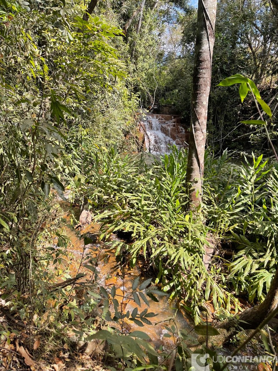 Fazenda à venda - Foto 16