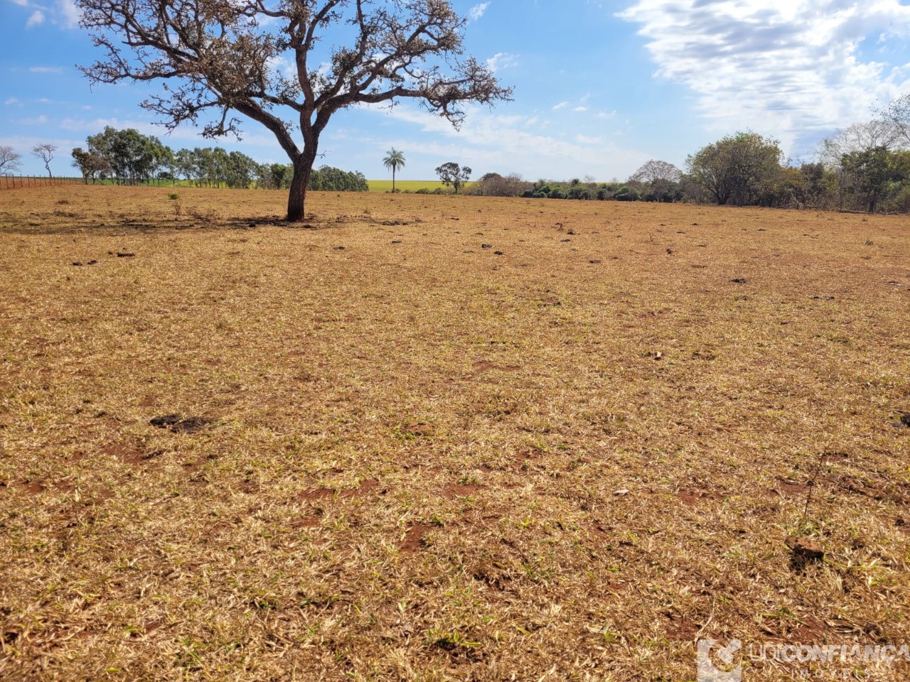 Fazenda à venda - Foto 7