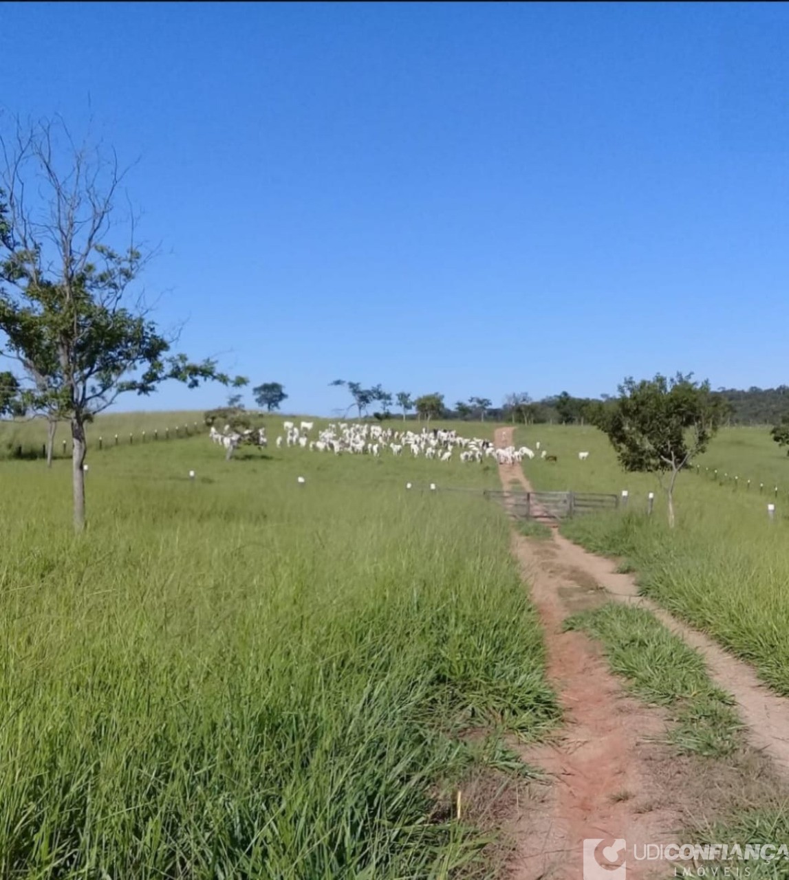 Fazenda à venda - Foto 1