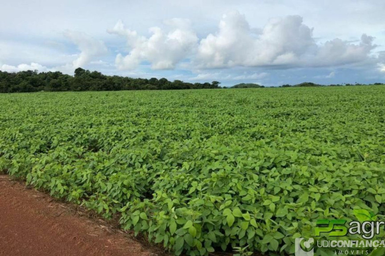 Fazenda à venda - Foto 1