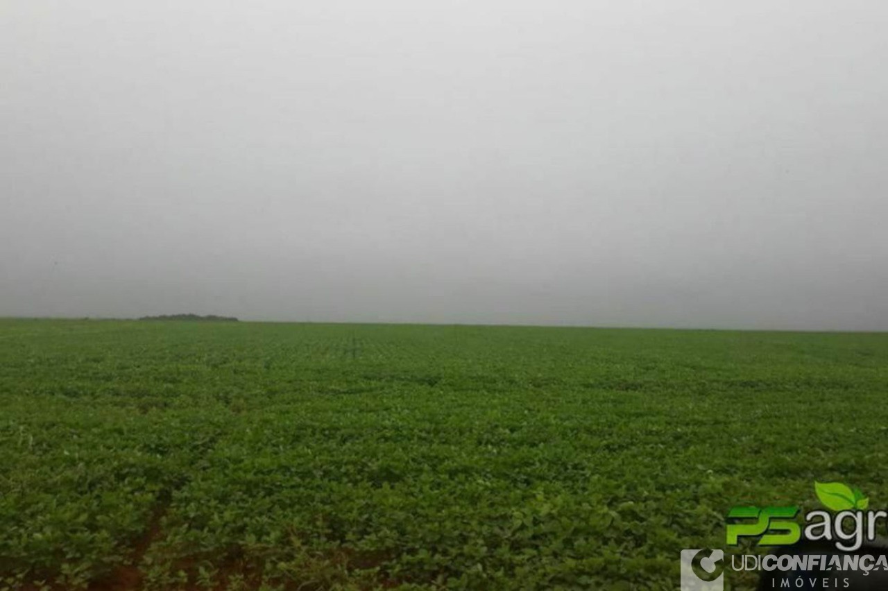 Fazenda à venda - Foto 8